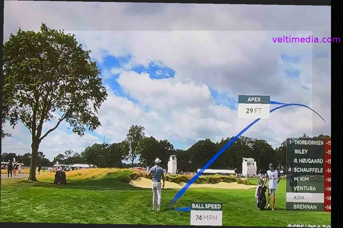 PGA Tour Winner's Shank, Hot Mic, and Rules Discussions at Rocket Classic