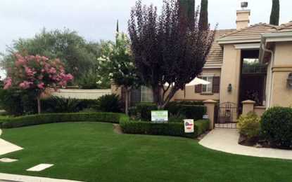 Modern Contemporary Ideas For Synthetic Lawn