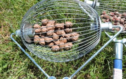 Save a lot of time with the superb nut gathering tool