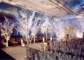 Some Good Anniversary Party Ideas in Fayetteville North Carolina