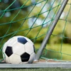 Types of Bets Available in 1Win, Mostbet, and 1xbet
