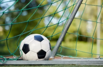 Types of Bets Available in 1Win, Mostbet, and 1xbet