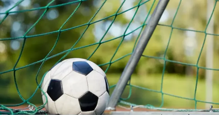 Types of Bets Available in 1Win, Mostbet, and 1xbet